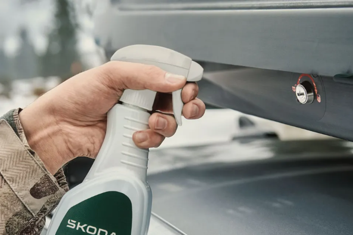 Oferta lunii ianuarie